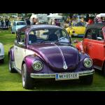 vw_kaefer_1303_04.jpg